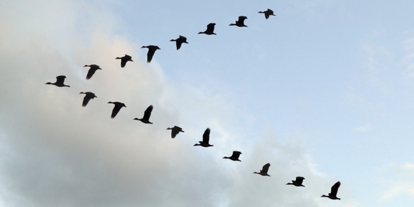 Migrating from HDFS to AIStor